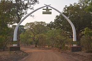 Katavi_National_Park