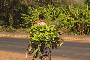 Mto-Wa-Mbu-Village