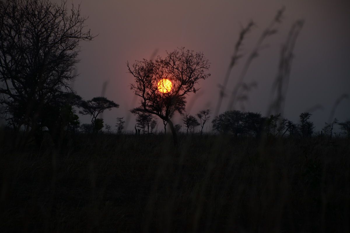 Sunset_in_Katavi_National_Park