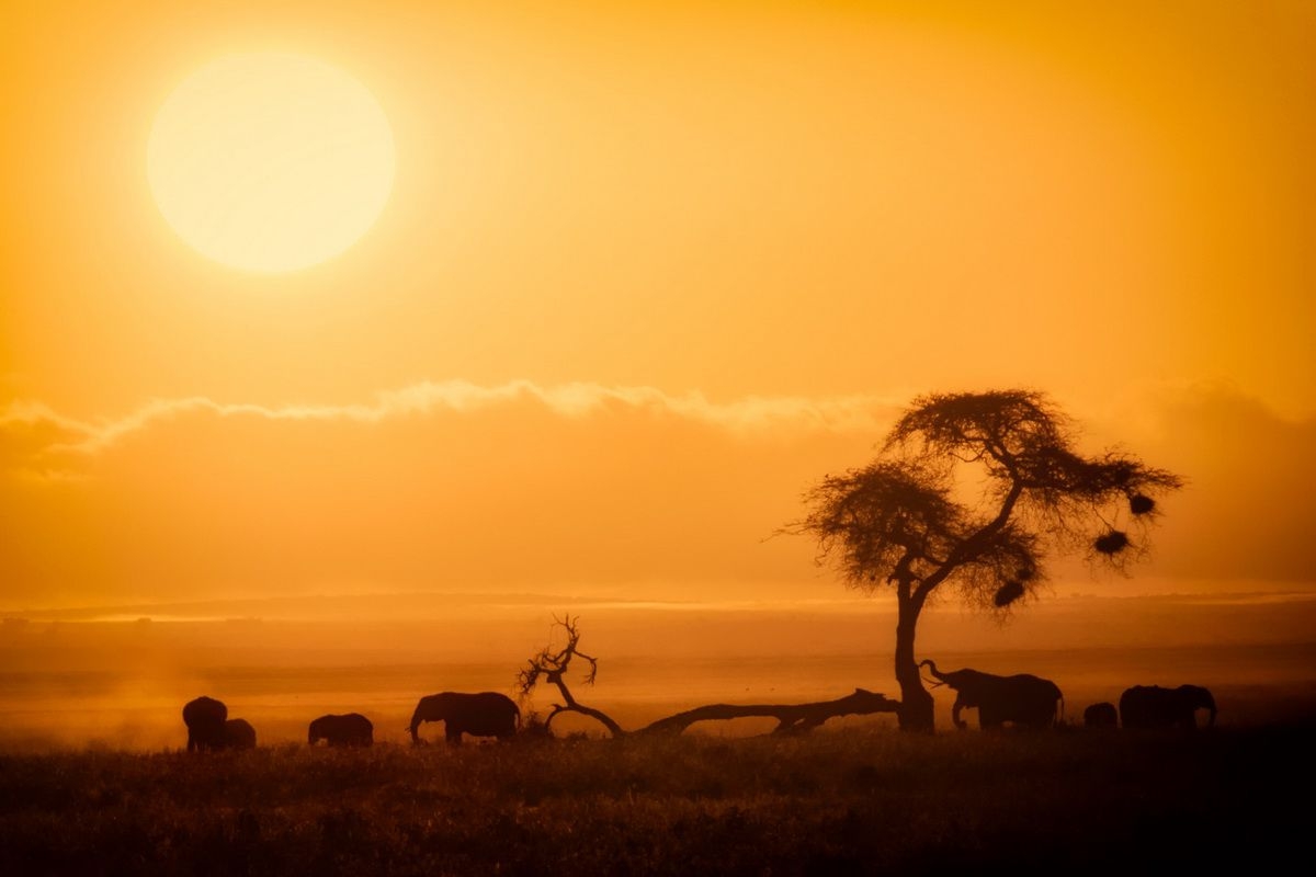 Sunset_in_Maasai_Mara_National_Park