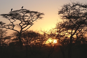 Sunset_in_Serengeti_National_Park