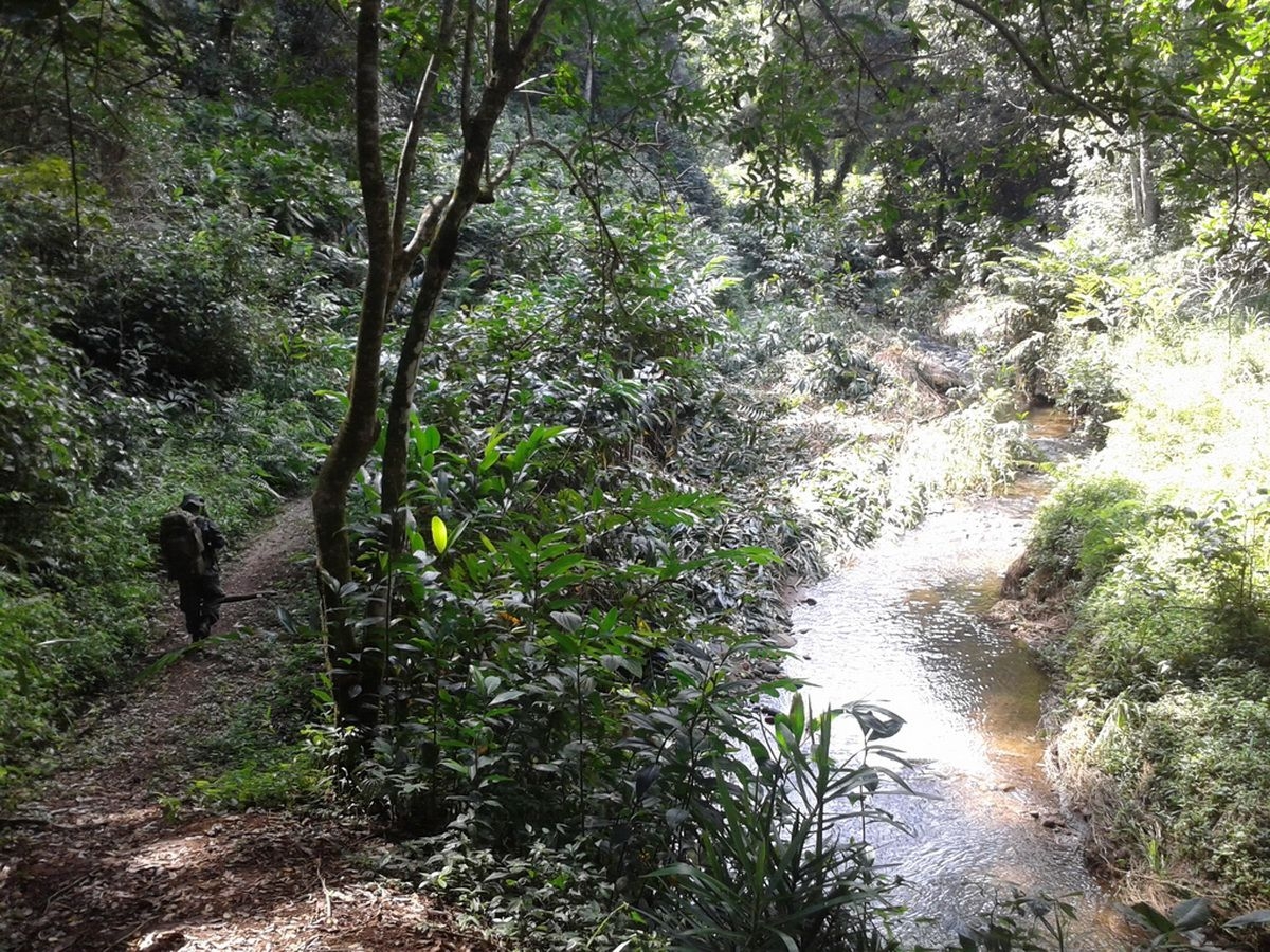 Trekking_in_Udzungwa_National_Park