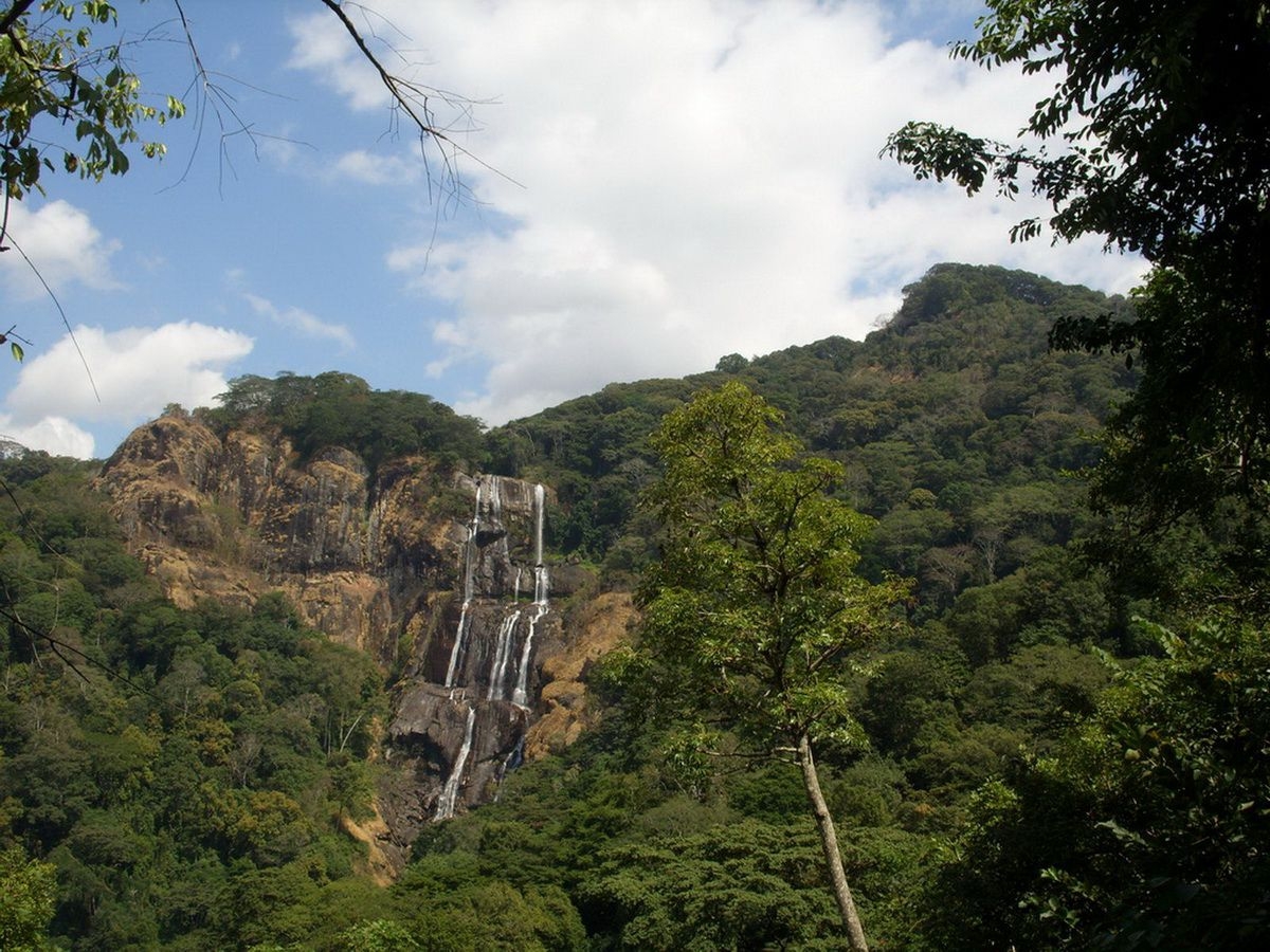 Waterfalls_in_the_Udzungwa_National_Park_(2)